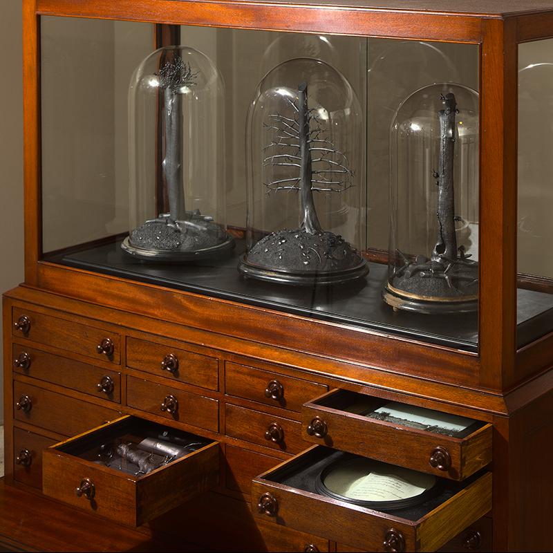 My Arcadia cabinet_Chazen Museum_vitrine detail
